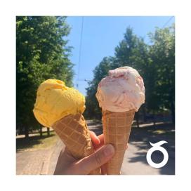 post_3186012646527505541
